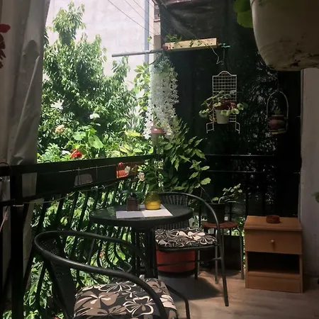 Apartment Ani